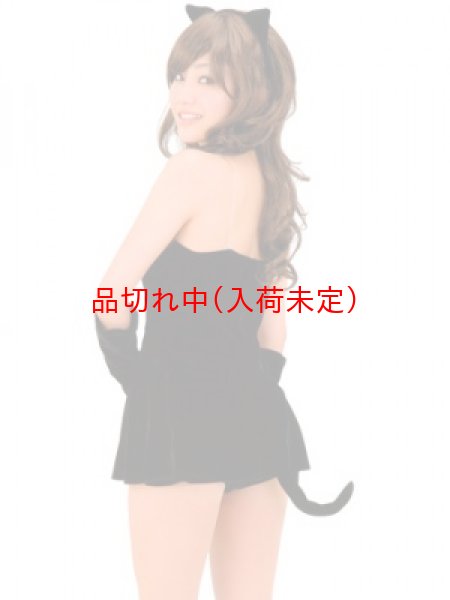 画像2: 大人用　コスプレ　黒猫　セクシー (2)