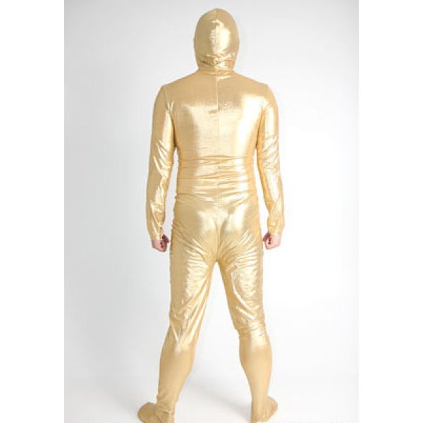 画像2: 大人用　金・銀全身タイツ (2)
