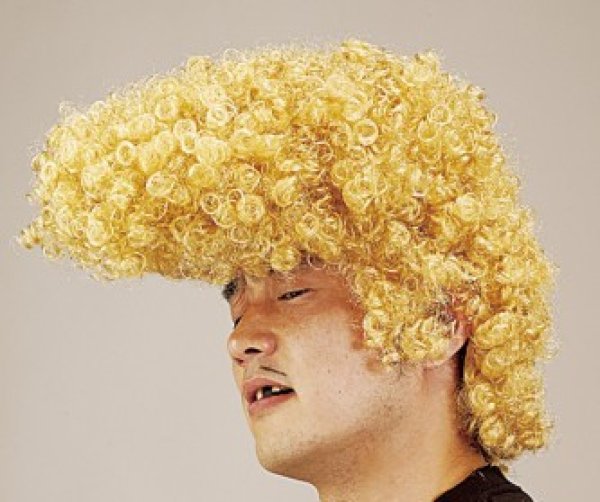 画像2: 大人用　かつら　リーゼントヘア (2)