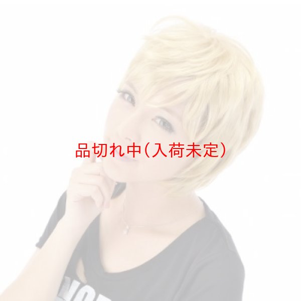 画像3: 大人用　かつら　ショートシャギー (3)
