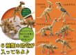 画像1: 体験イベントキット　恐竜発掘　30人用 (1)