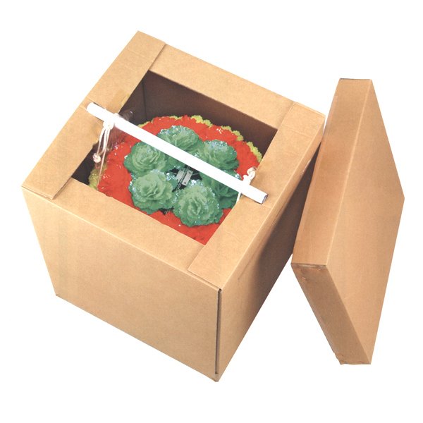 画像3: くす玉 花 直径105cmサイズ (3)