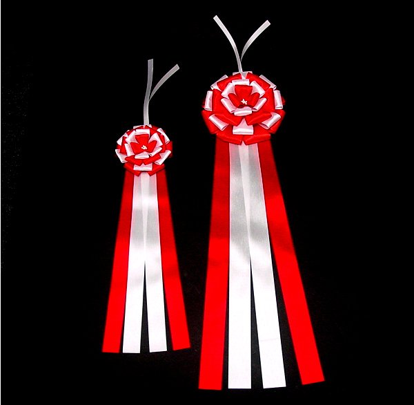 画像3: テープカット用リボン　大 (3)