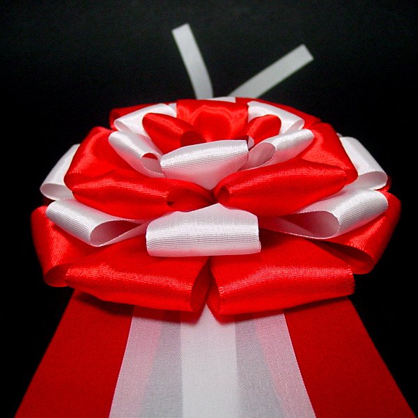 画像5: テープカット用リボン　大 (5)