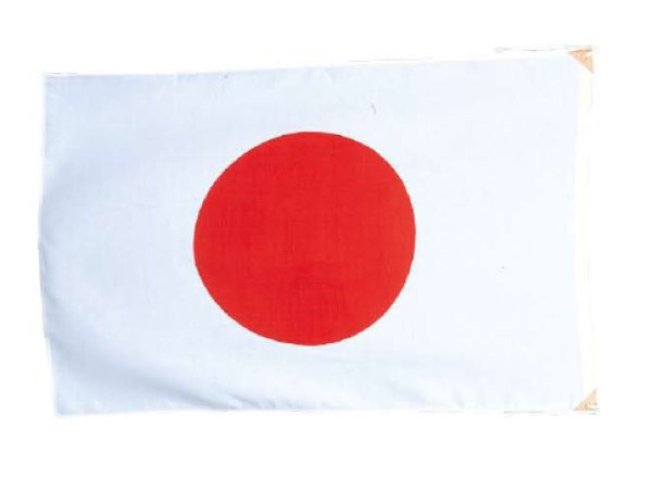 画像1: 国旗　綿　1m40cm×2m10cm (1)