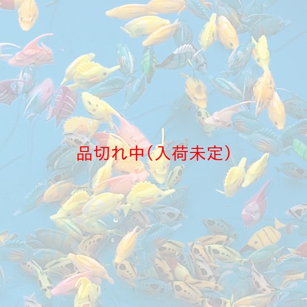 画像1: すくい用おもちゃ　フィギア熱帯魚　100ヶセット (1)