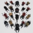 画像2: すくい用おもちゃ　フィギア昆虫(カブトムシ&クワガタ)　100ヶセット (2)