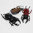 画像5: すくい用おもちゃ　フィギア昆虫(カブトムシ&クワガタ)　100ヶセット (5)