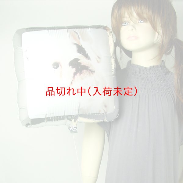 画像2: アルミ風船 犬柄 50枚セット (2)