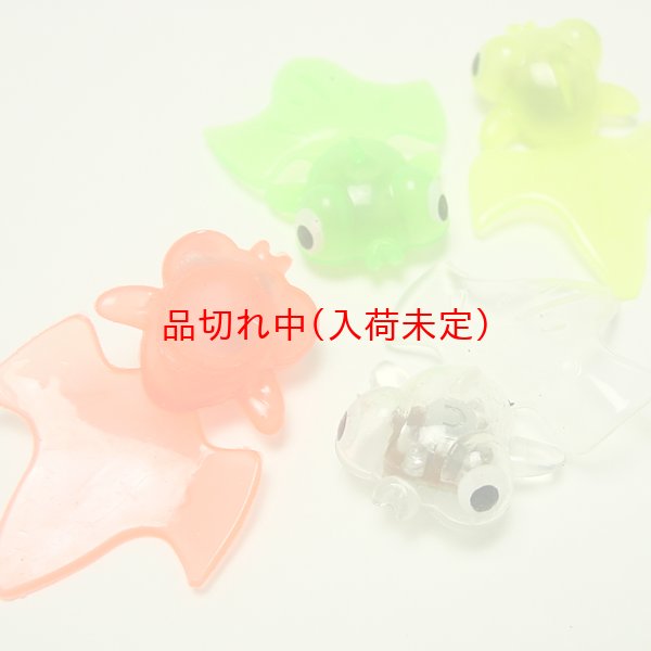 画像4: 光る出目金　48ヶセット (4)