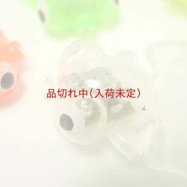 画像5: 光る出目金　48ヶセット (5)