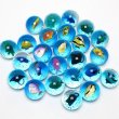 画像1: 追加用スーパーボール45mm　水族館　25ヶセット (1)