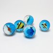 画像3: 追加用スーパーボール45mm　水族館　25ヶセット (3)