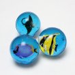 画像4: 追加用スーパーボール45mm　水族館　25ヶセット (4)