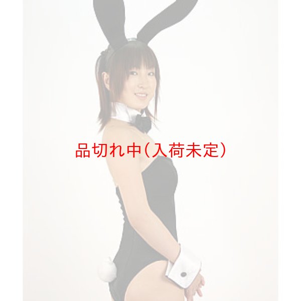 画像3: 大人用　コスプレ　バニーガール (3)