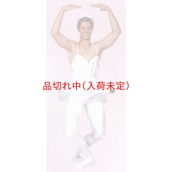 画像1: 大人用　コスチューム　白鳥　首下 (1)