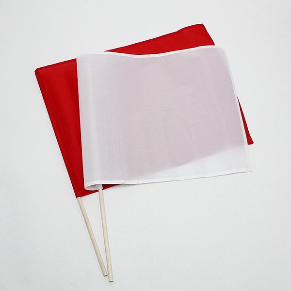 画像2: パーティゲーム　赤白旗上げ (2)