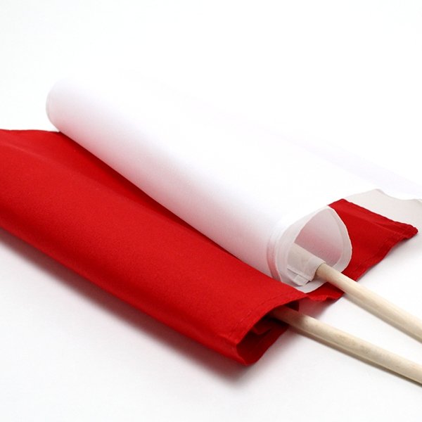 画像3: パーティゲーム　赤白旗上げ (3)