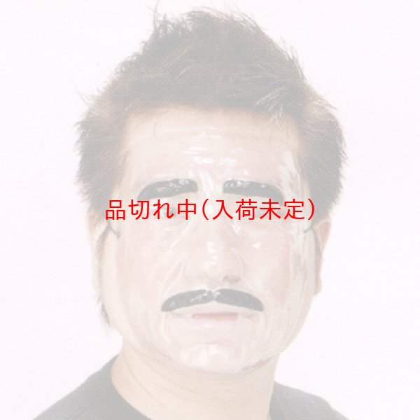 画像2: 大人用　マスク　パーティー大人用　マスク (2)