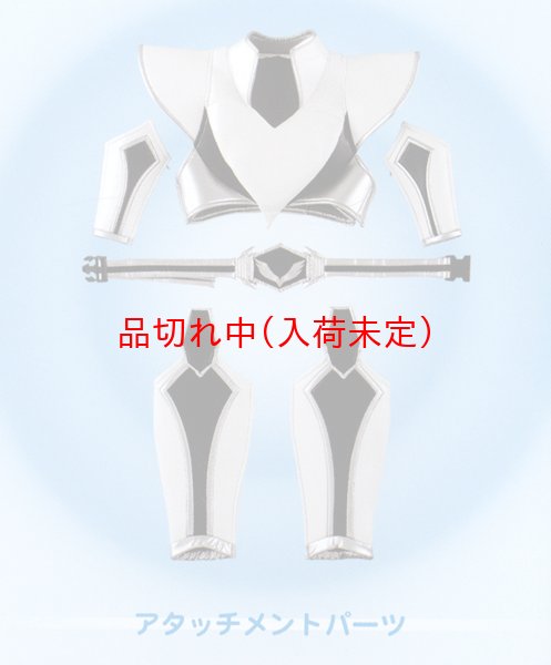 画像2: 大人用 全身タイツ 正義の味方 DXウィングパーティーレンジャー (2)