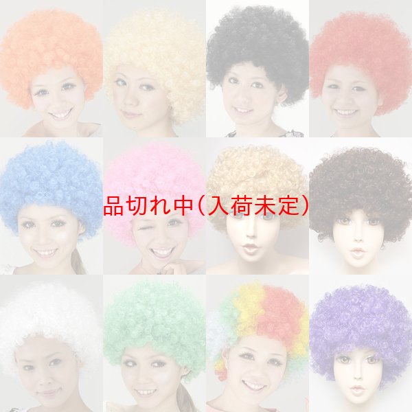 画像1: 大人用　かつら　アフロヘア (1)