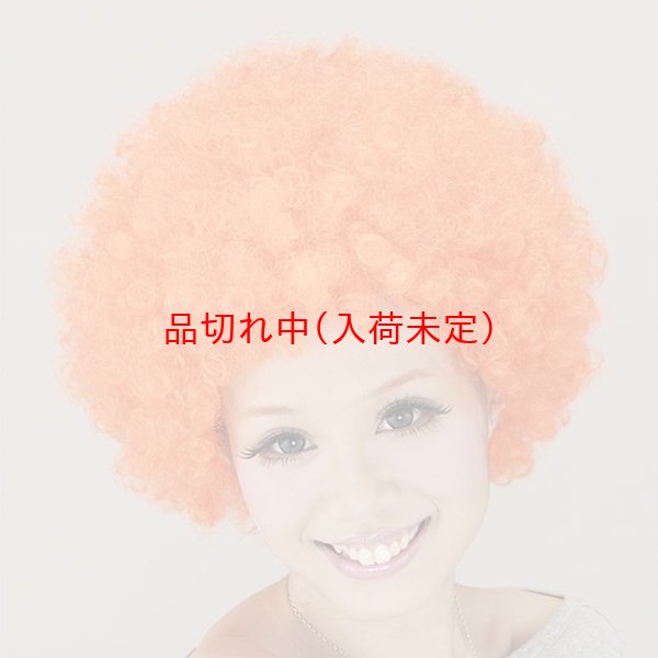 画像2: 大人用　かつら　アフロヘア (2)