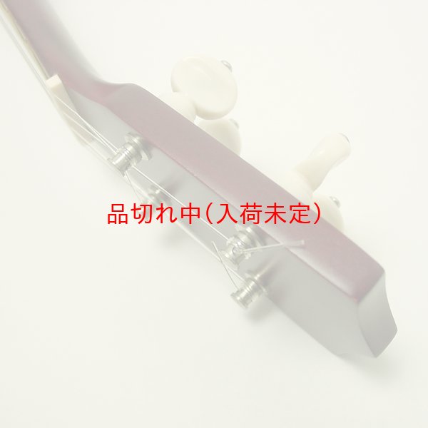 画像5: 余興　ウクレレ (5)