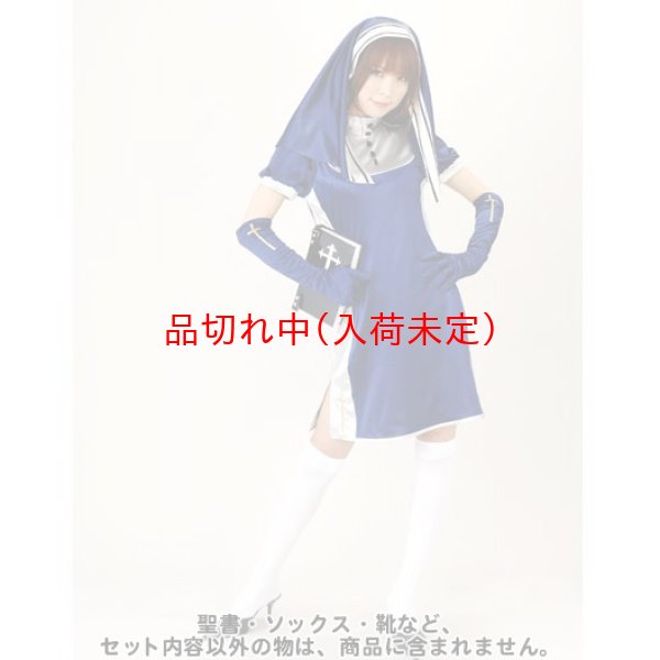 画像1: 大人用　コスプレ　ブルーシスター (1)