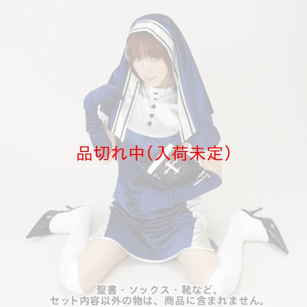 画像2: 大人用　コスプレ　ブルーシスター (2)
