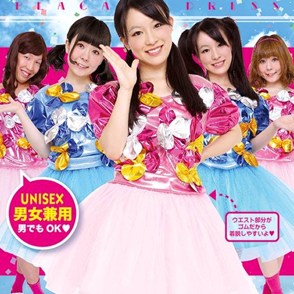 画像5: 大人用 コスチューム プラカード (5)