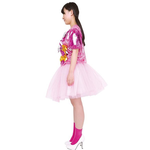 画像3: 大人用 コスチューム プラカード (3)