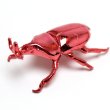 画像3: すくい用おもちゃ　キラキラ昆虫　100ヶセット (3)