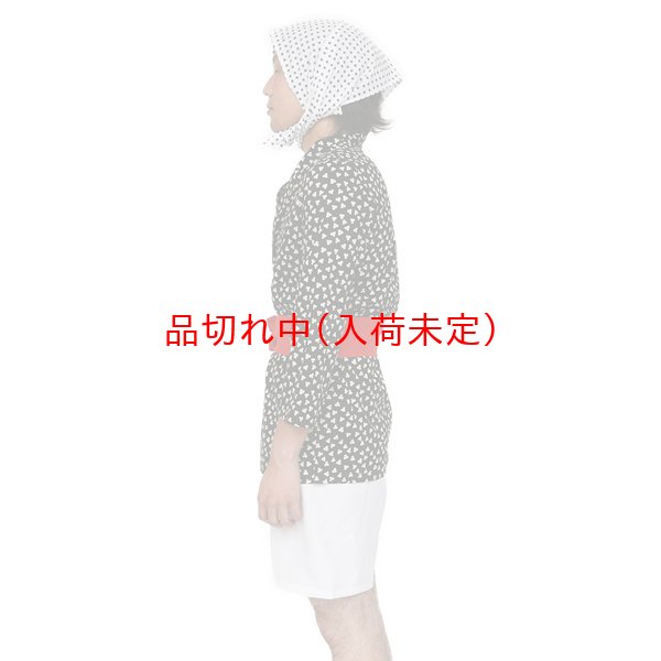 画像3: 大人用 コスチューム どじょうすくい (3)