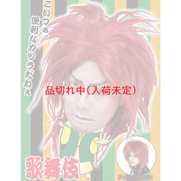 画像4: 大人用　かつら　ビジュアル系 (4)