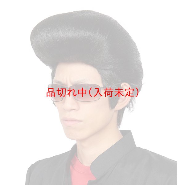 画像1: 大人用　かつら　リーゼント (1)
