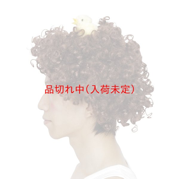 画像5: 大人用　干支　酉　かつら　小鳥付アフロヘア (5)
