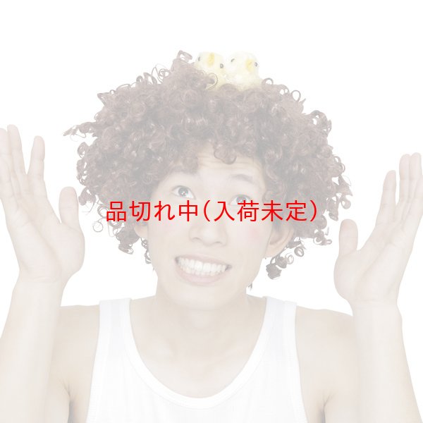 画像3: 大人用　干支　酉　かつら　小鳥付アフロヘア (3)