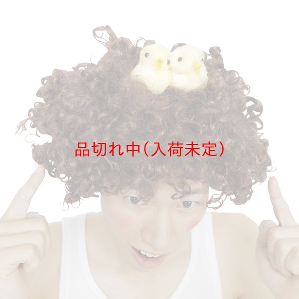 画像4: 大人用　干支　酉　かつら　小鳥付アフロヘア (4)