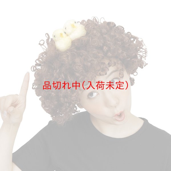 画像2: 大人用　干支　酉　かつら　小鳥付アフロヘア (2)