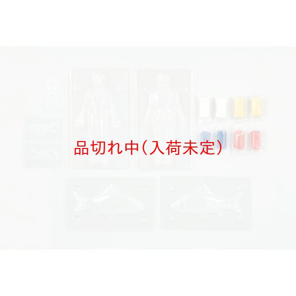 画像2: 学習工作キット 人体内蔵模型 まとめ買い18セット (2)