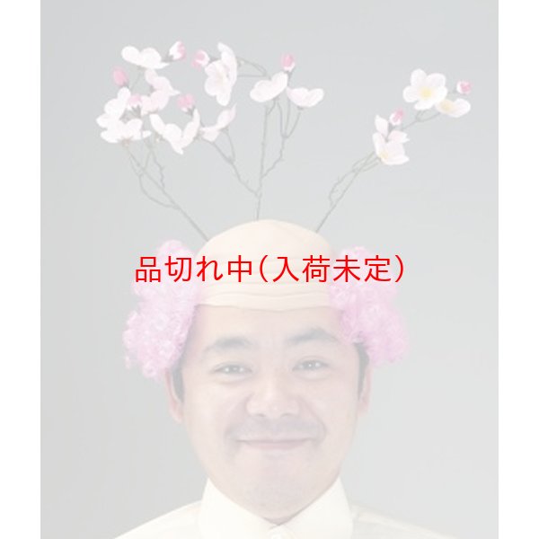 画像1: 大人用　かつら　桜　キャップ　細い枝付 (1)