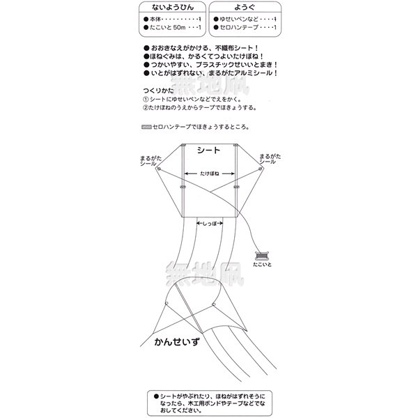 画像6: お絵描き 手作り凧 (6)