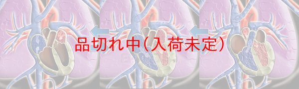 画像2: 教材景品　心臓変化カード　まとめ買い100セット (2)