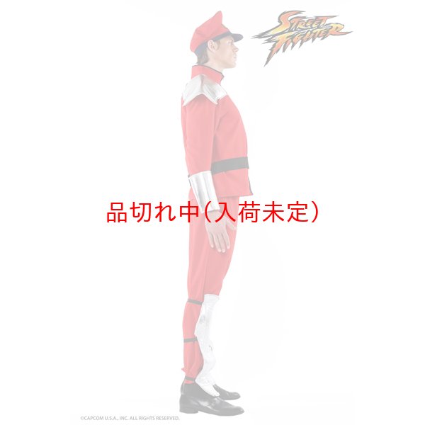 画像4: 大人用 コスチューム ストリートファイター ベガ (4)