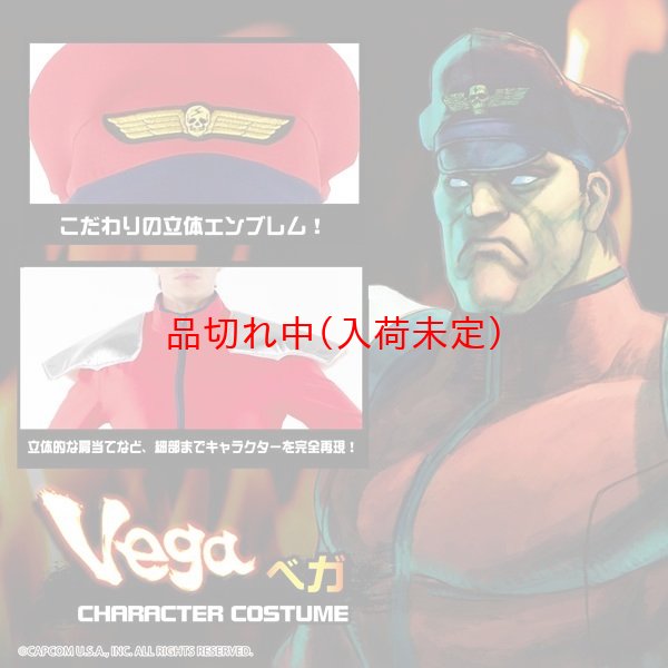 画像6: 大人用 コスチューム ストリートファイター ベガ (6)