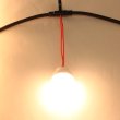 画像13: 便利な電球付き！提灯用電気コード　5灯　1m間隔　全長5m (13)