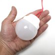 画像12: 便利な電球付き！提灯用電気コード　5灯　1m間隔　全長5m (12)