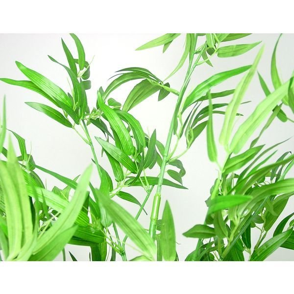 画像2: 地鎮祭用竹　2m60cm (2)