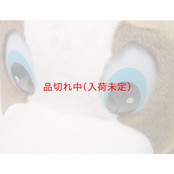 画像6: 大人用　干支　戌　いぬの着ぐるみ (6)