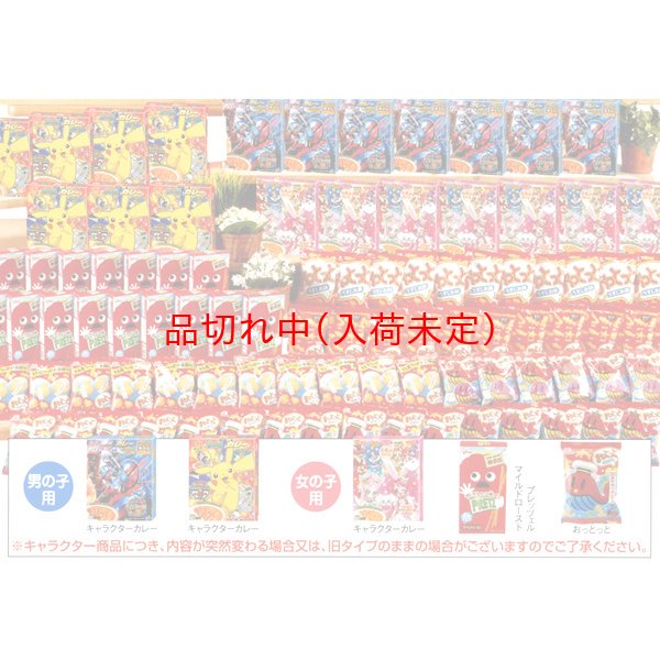 画像1: お子様カレー＆お菓子抽選会　100人用 (1)